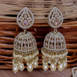 Load image into Gallery viewer, Sara Ali Inspired Reverse AD Choker Set With Earrings & Teeka