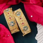 Ruchita Heritage