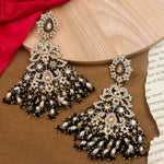 Load image into Gallery viewer, Pakistani Design Earrings
